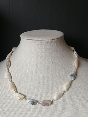 Vintage Handmade Bohemian Natural Sea Shell Donax Vittatus Necklace